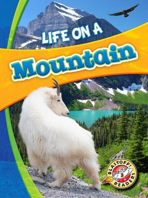 cover image of Life on a Mountain